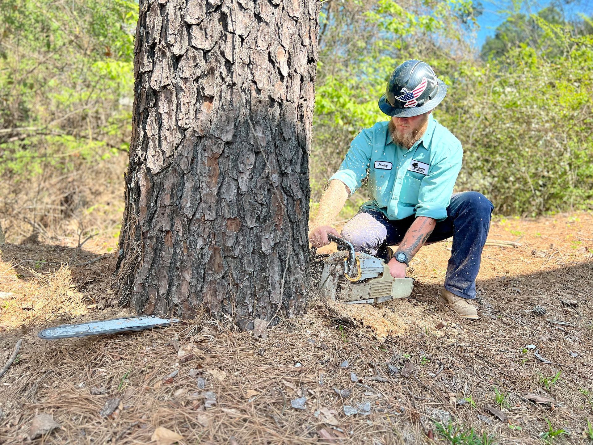 Man in safety gear using a chainsaw to cut a tree in a wooded area.