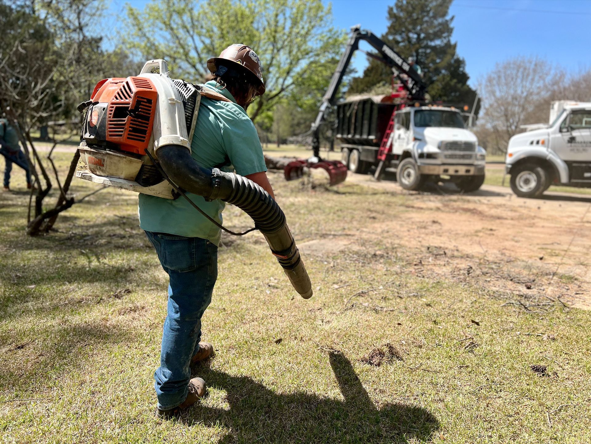Man using a leaf blower on grass near trucks and trees. Sunny day.