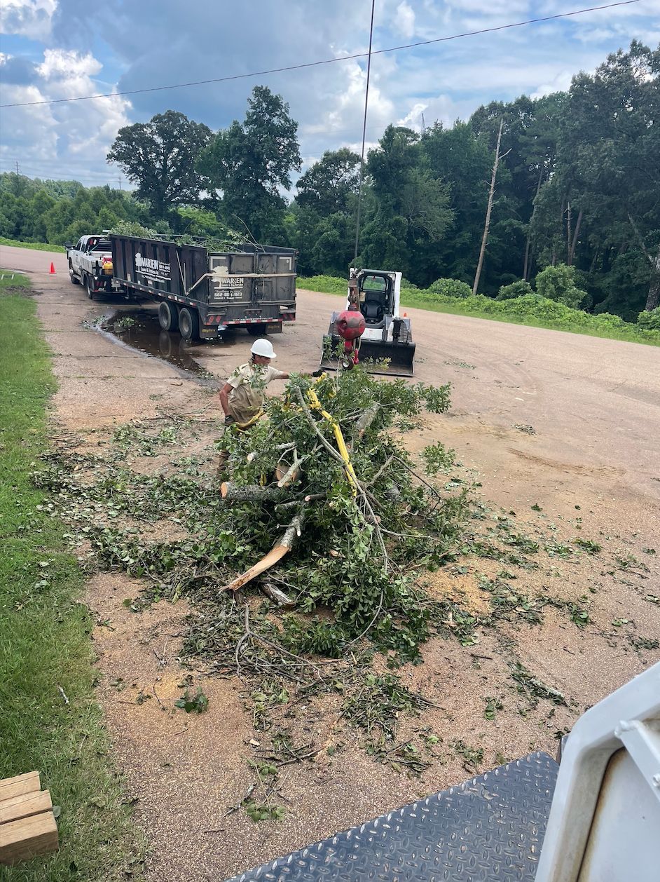 Tree trimming crew on a road; using a bobcat, collecting limbs and loading debris into a trailer.