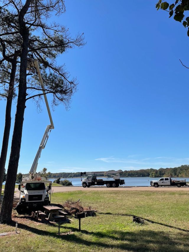 Tree trimming with lift truck near a lake. Two work trucks, blue sky, green grass.