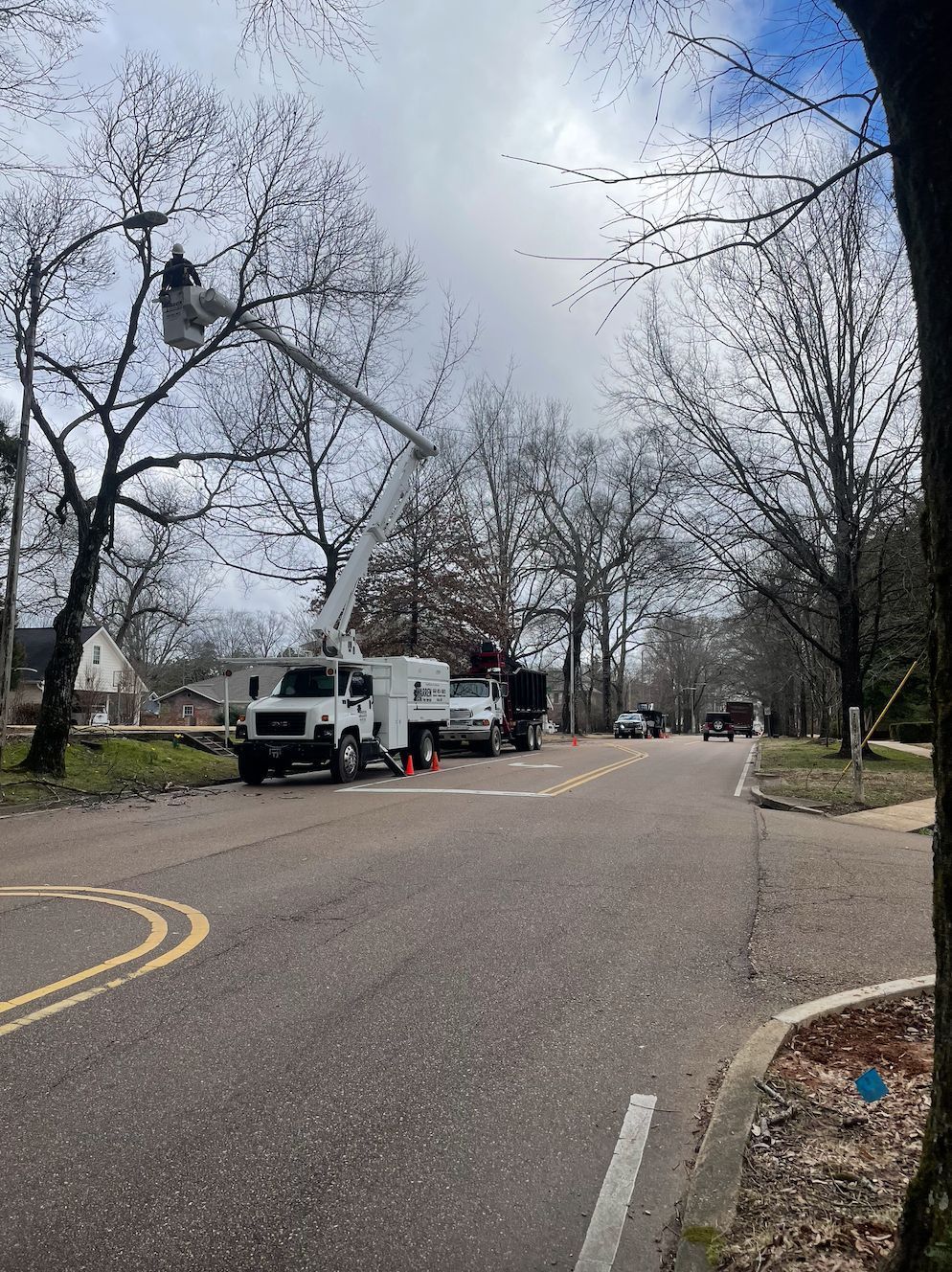 Utility truck with extended boom arm trimming tree branches on a road. Overcast day.