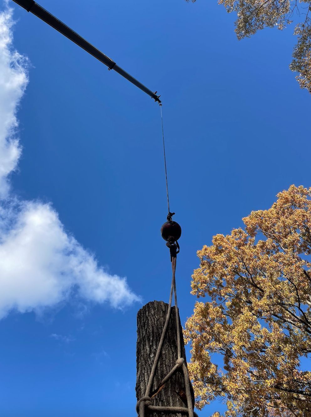 Crane lifting a weathered wooden structure against a blue sky with clouds and tree branches.
