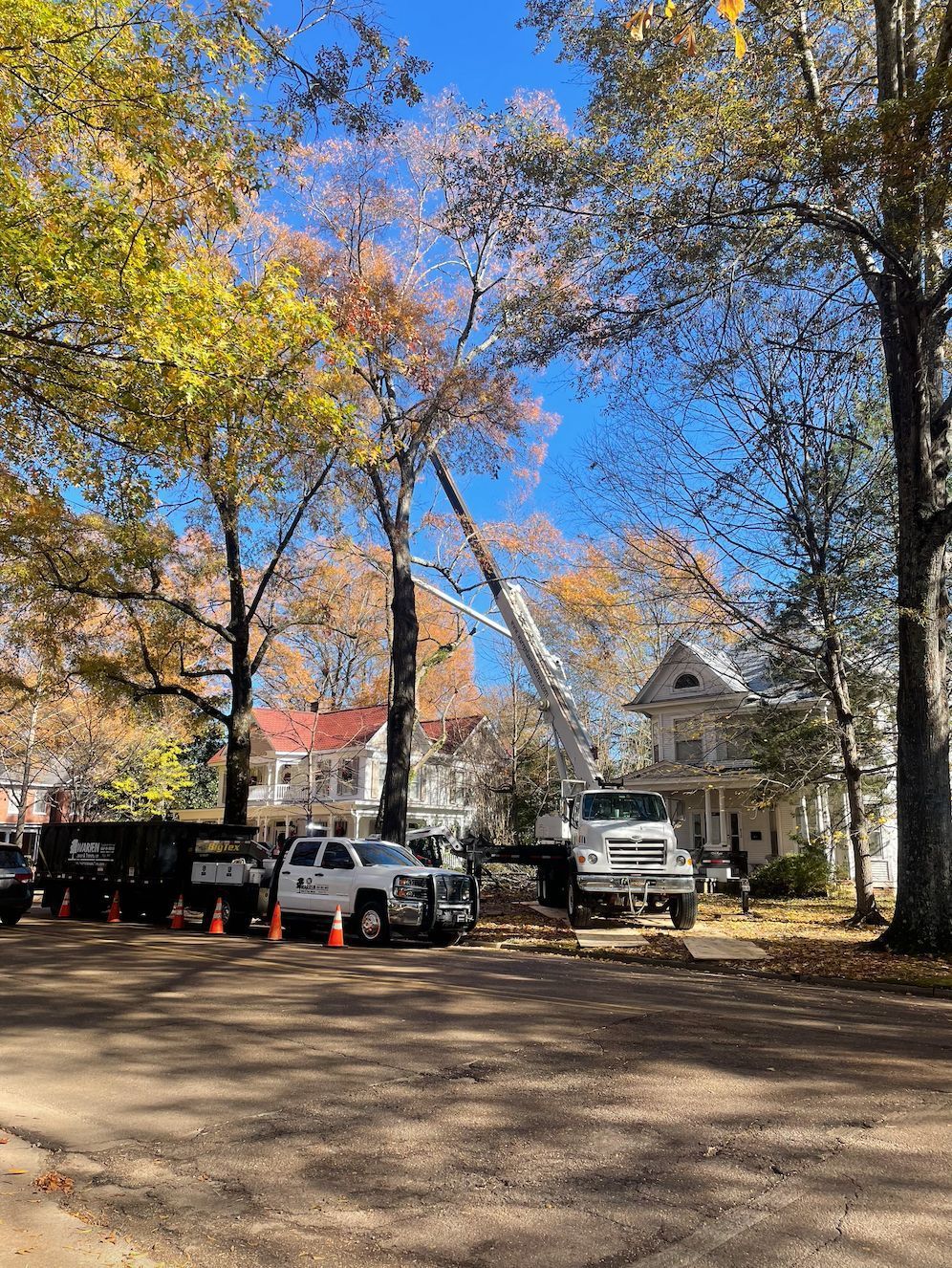 Tree trimming crew working near houses with fall foliage.