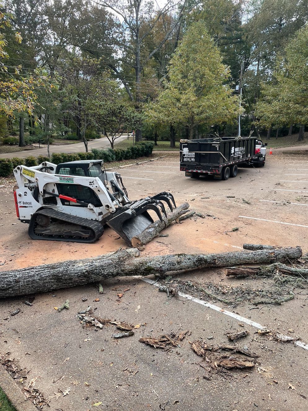 Bobcat skid steer moving a large log on a paved surface, truck in the background.