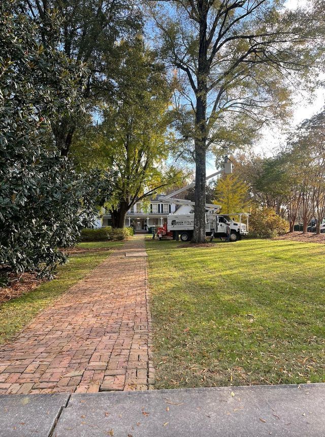 Brick path leads to white house; a truck is parked on the lawn near a large tree.