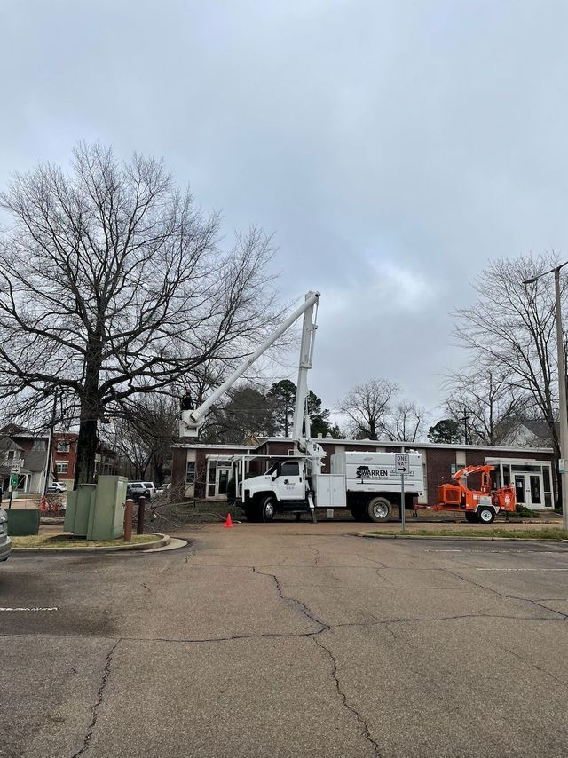 Tree trimming service truck with extended lift near a building on a cloudy day.