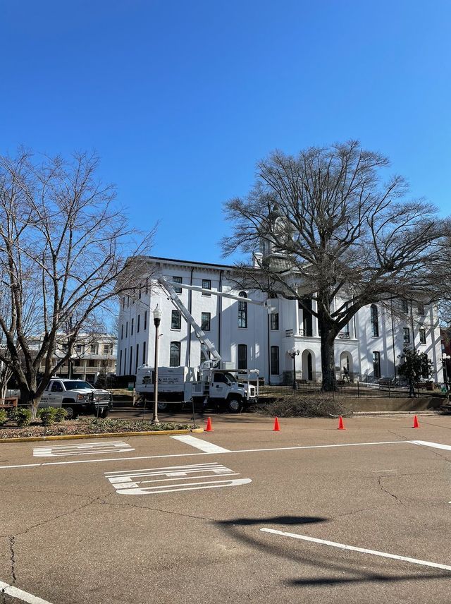 White building with a tree and work truck on a sunny day with road markings and traffic cones.