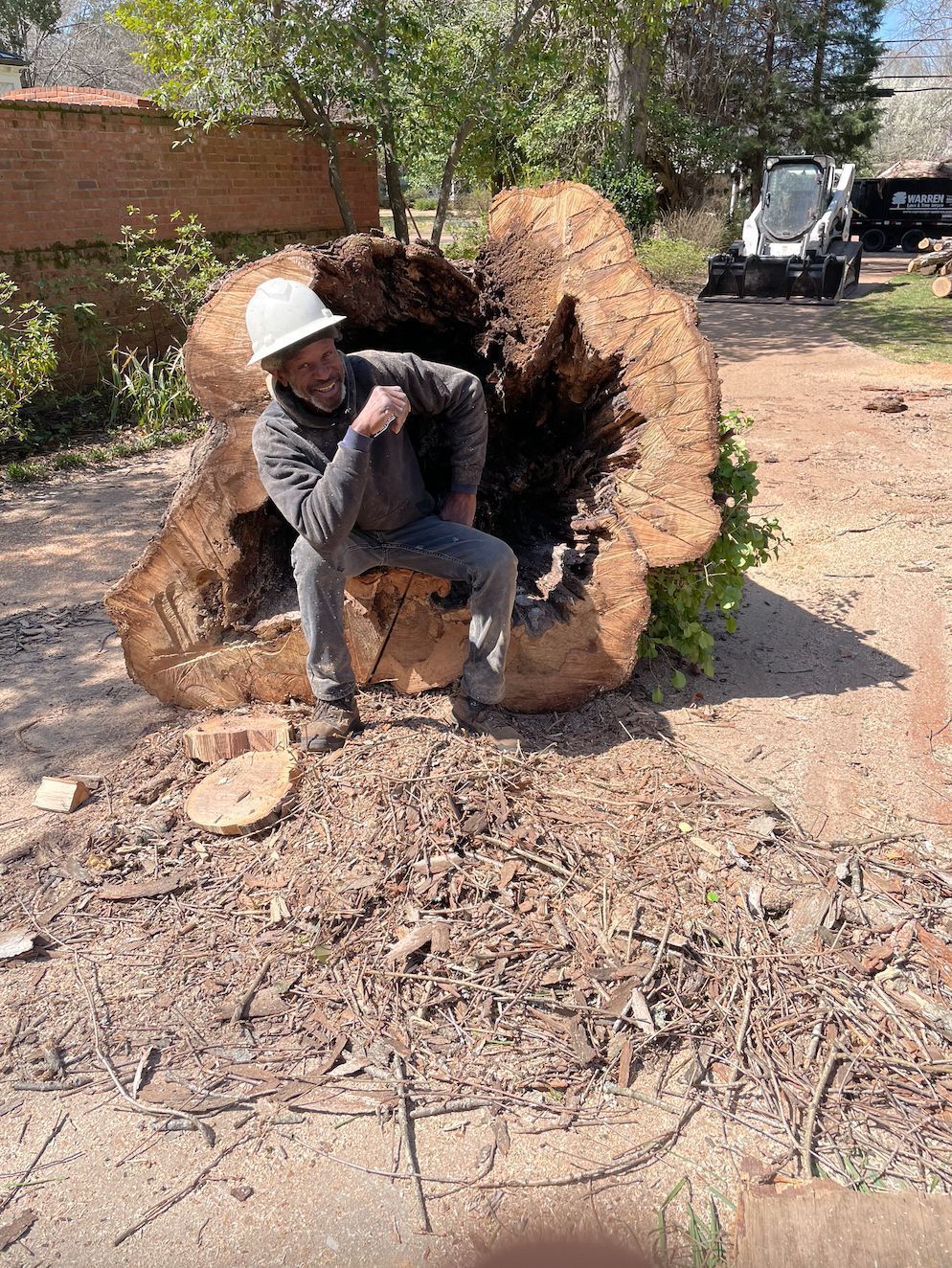 Man in hard hat sits near a large, hollow tree trunk. Dirt and wood chips surround him; a small construction vehicle is in the background.