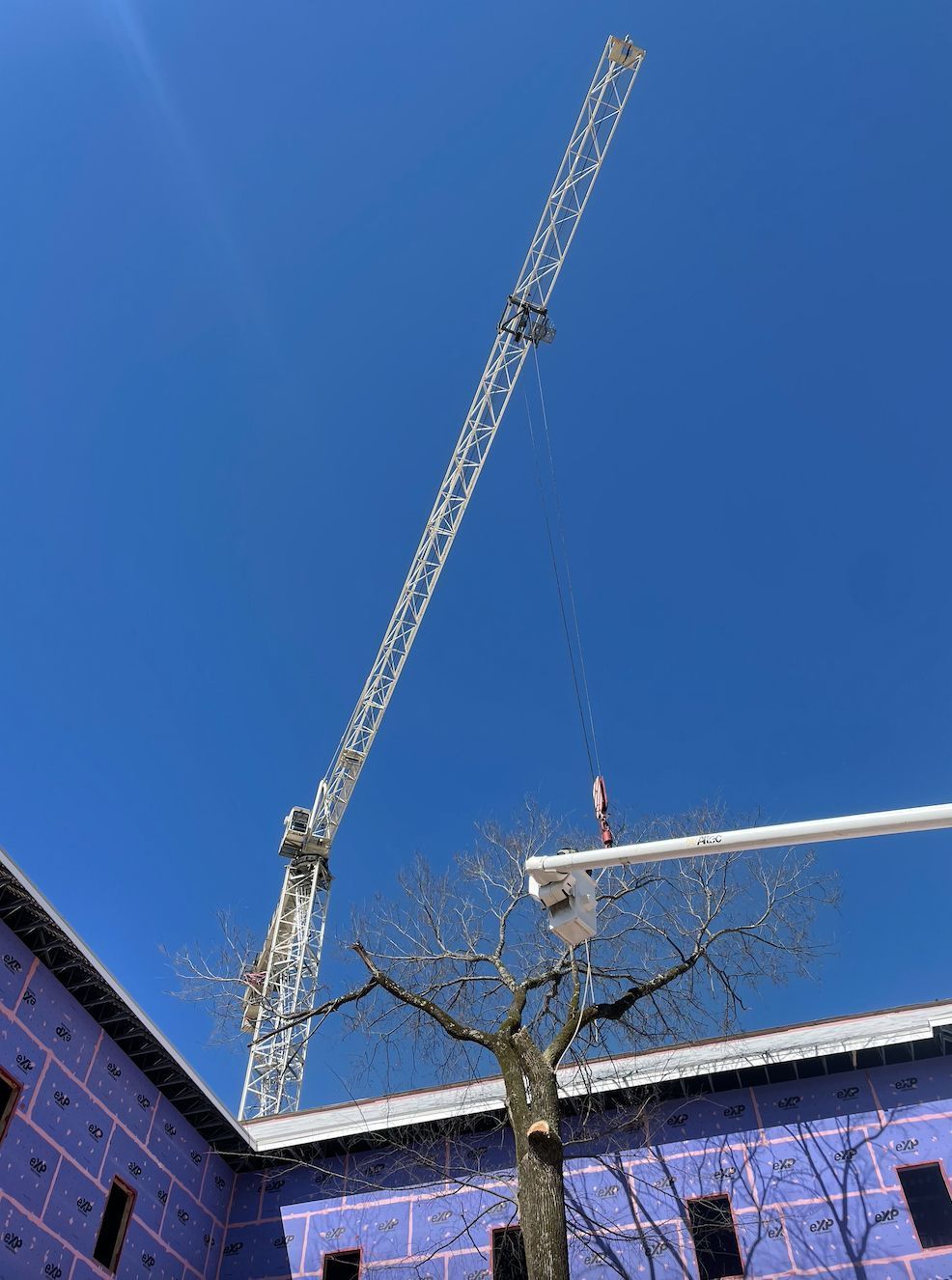 Construction crane next to a building under construction, bright blue sky in background.
