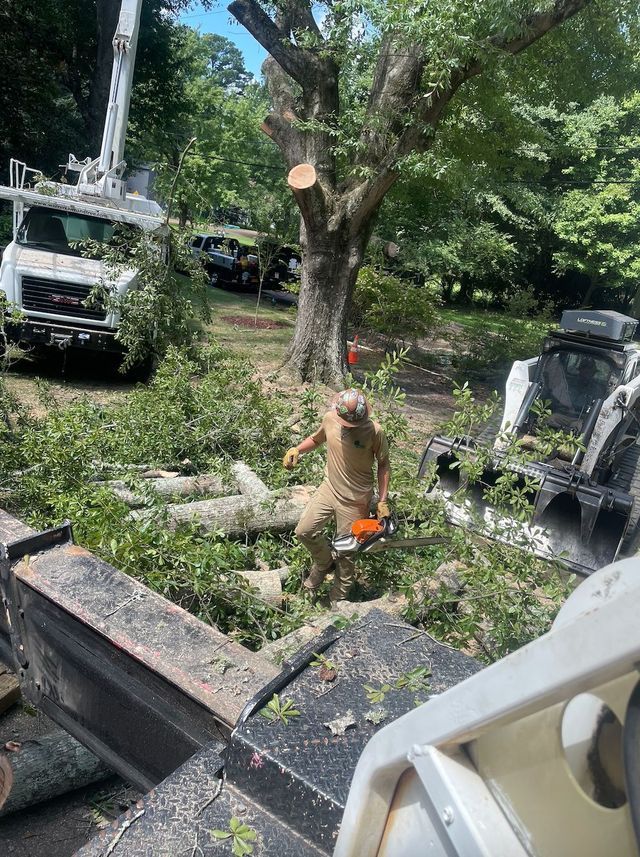 Man using a chainsaw to cut a tree. A tree service truck is present. Green foliage surrounds them.