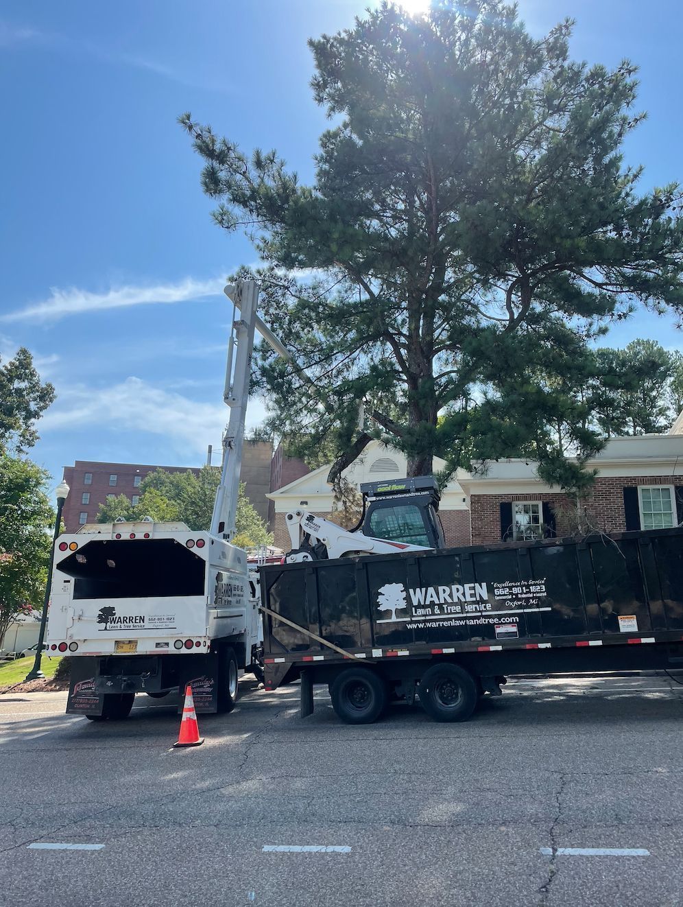 Tree removal in progress: A truck with a lift and a trailer next to a tree, on a street on a sunny day.