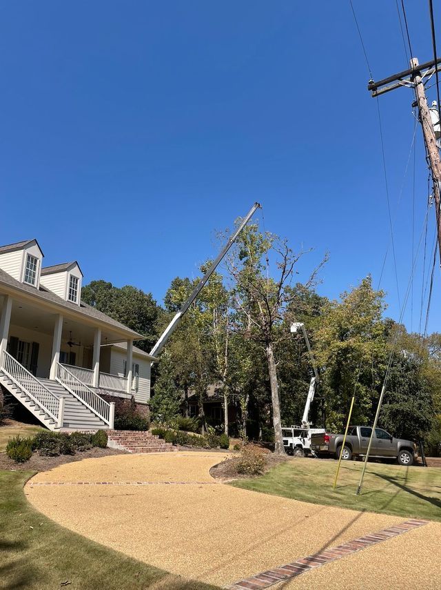 Tree trimming in progress near a house; bucket trucks and power lines visible on a sunny day.
