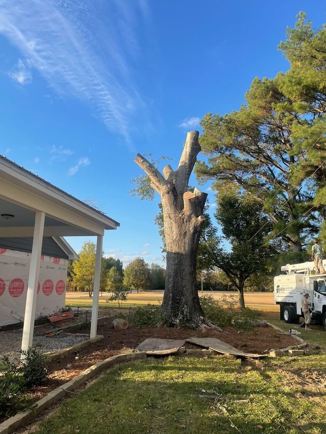 Partially cut tree near a house; tree service truck in the background on a sunny day.
