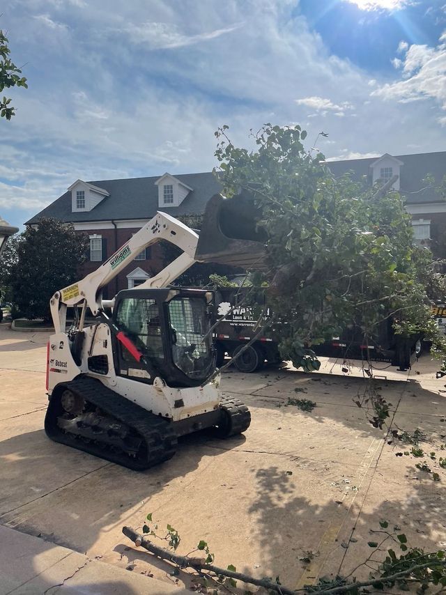 Bobcat skid-steer loader cutting tree branches near a building with white trim under a sunny sky.