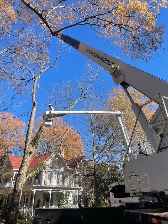 A tree being trimmed by a lift truck; autumn foliage, blue sky, old house in background.