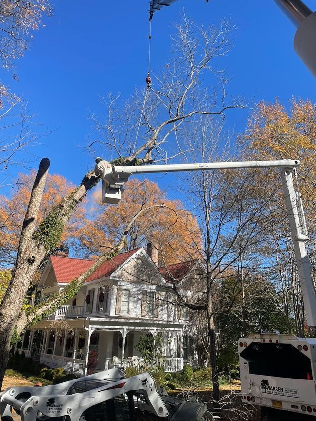 Tree being trimmed near a white house with an orange roof, blue sky, and a crane.