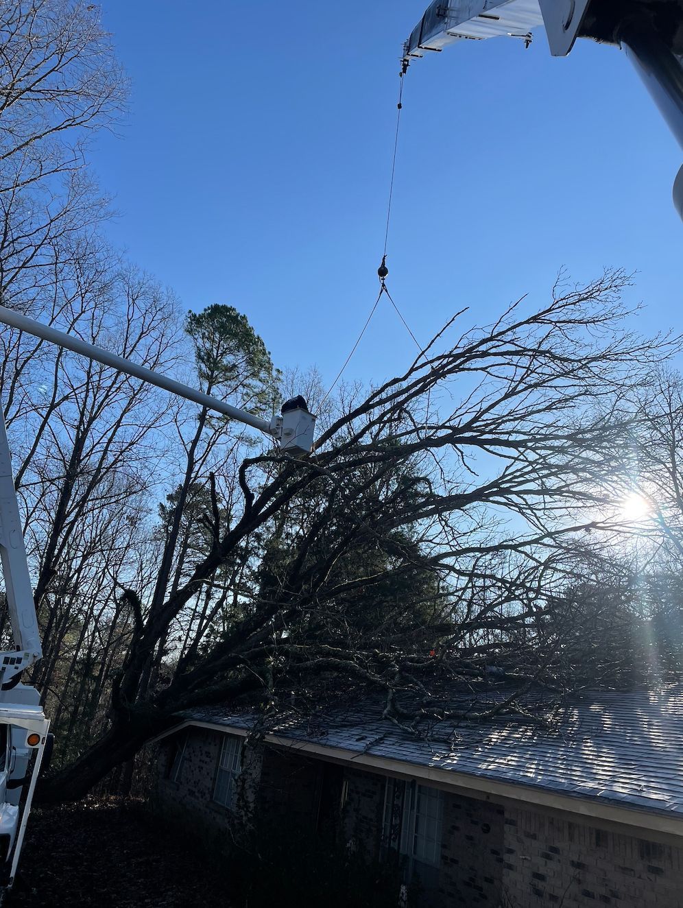 Tree being cut on rooftop by person in a crane basket, blue sky, and utility pole.