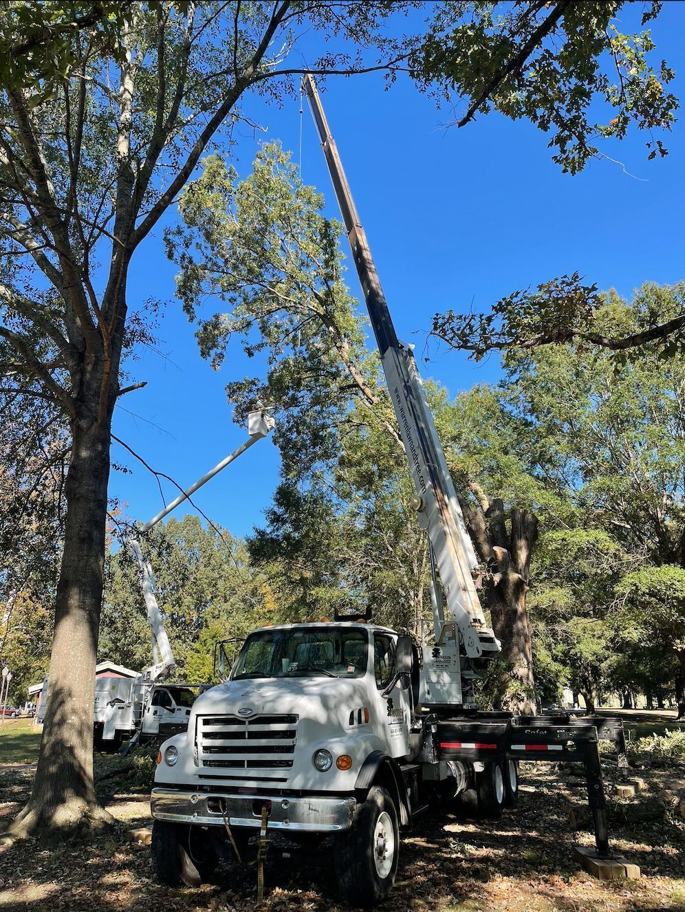 White tree service truck with extended arm reaching tree branches against a blue sky.