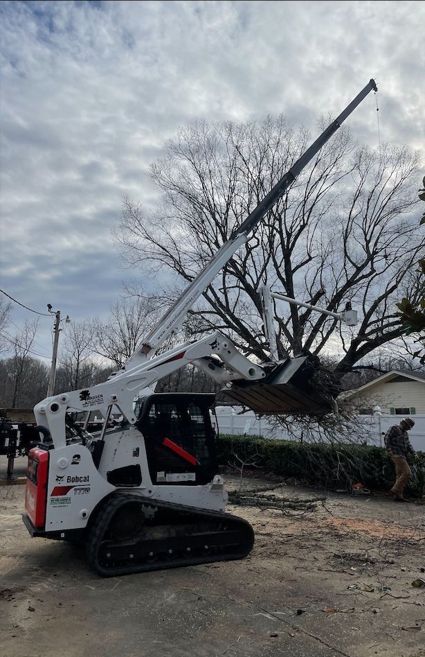 A Bobcat skid steer with an extending arm lifts a tree. Cloudy sky, man working.