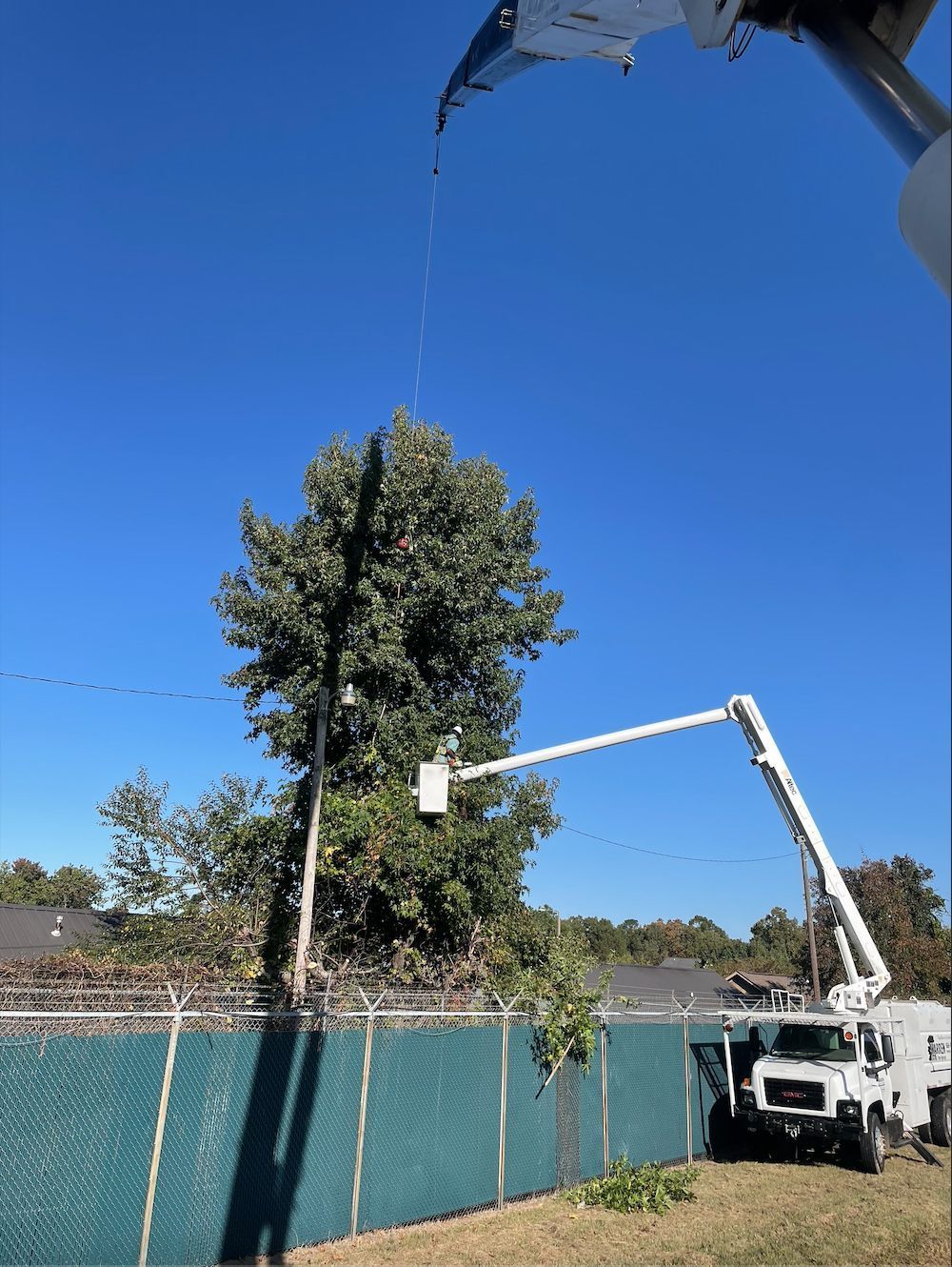 Truck with a lift trimming a tree near power lines. Blue sky background.