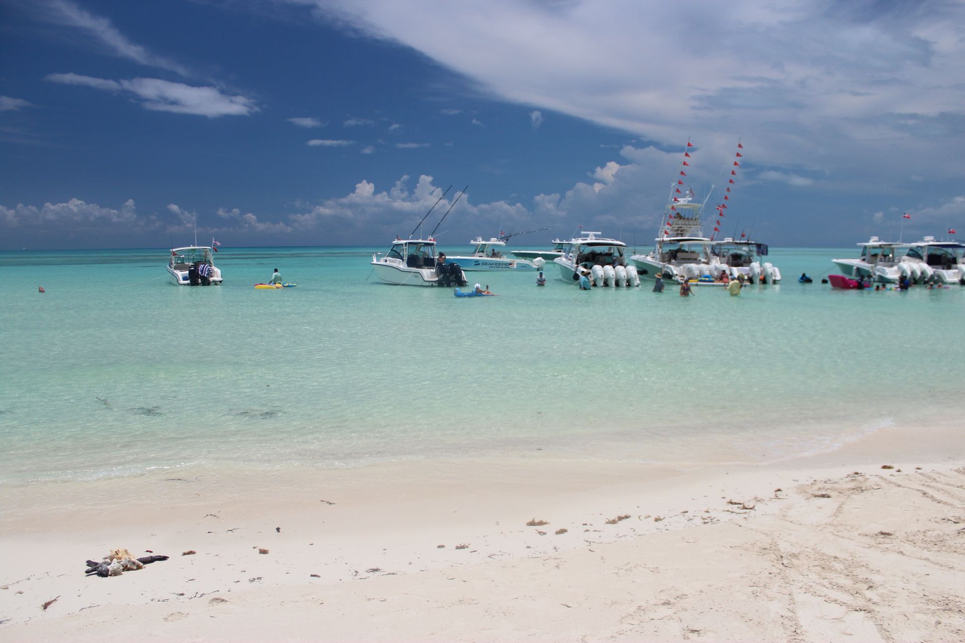 Boston Whaler Bimini Raftup