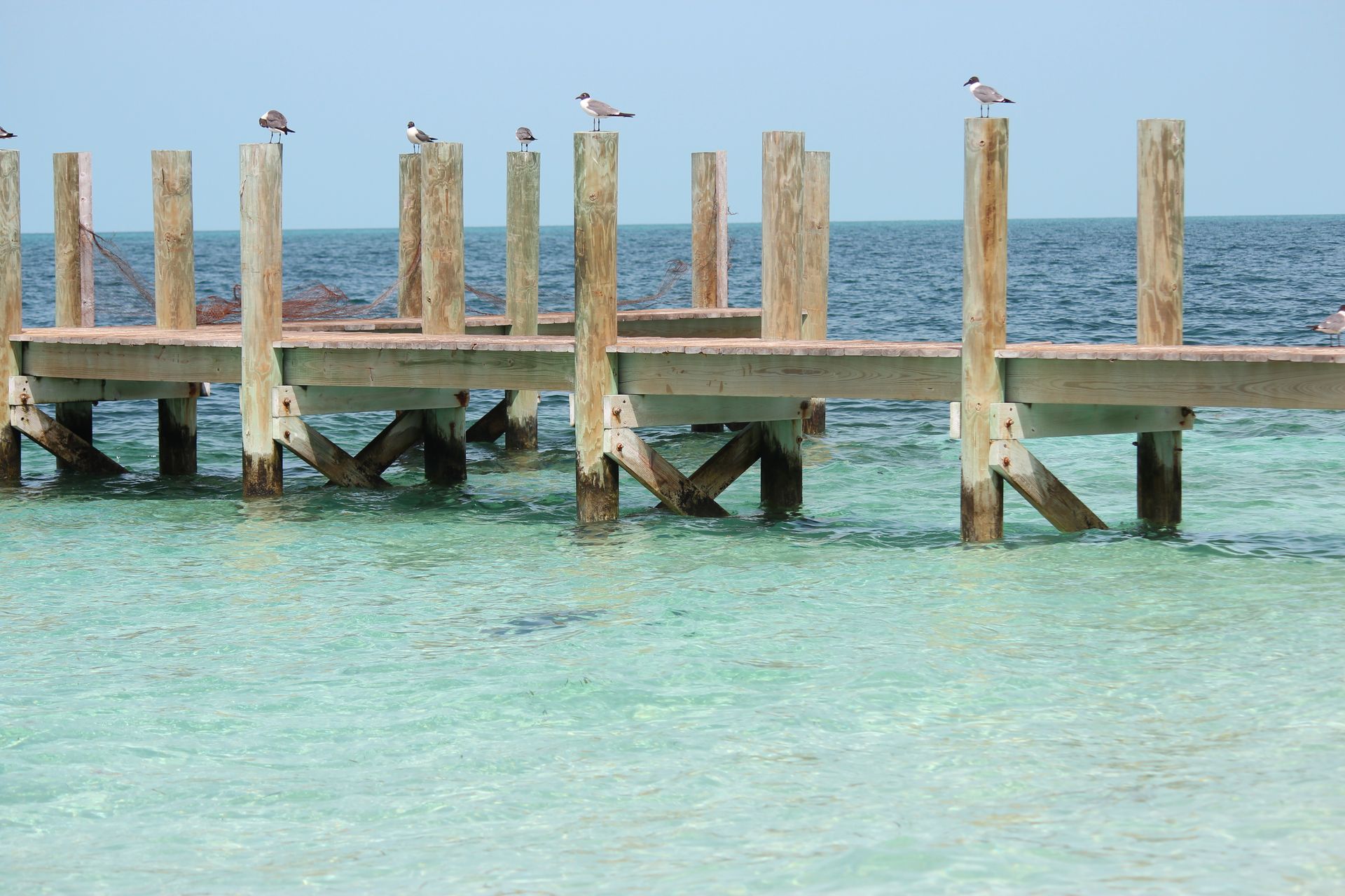 Bimini Bahamas Shoreline Experience