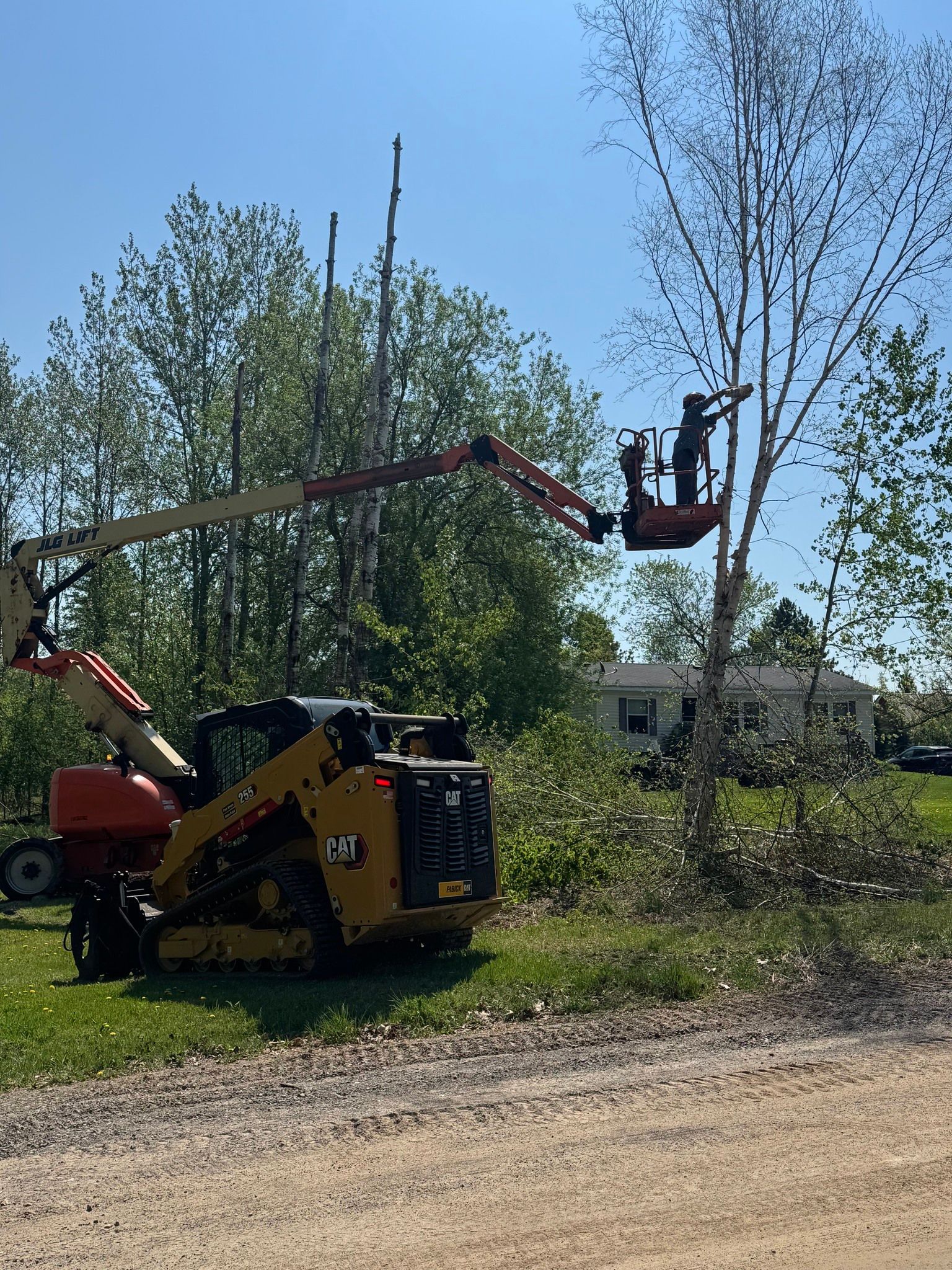 A man is cutting a tree with a crane.