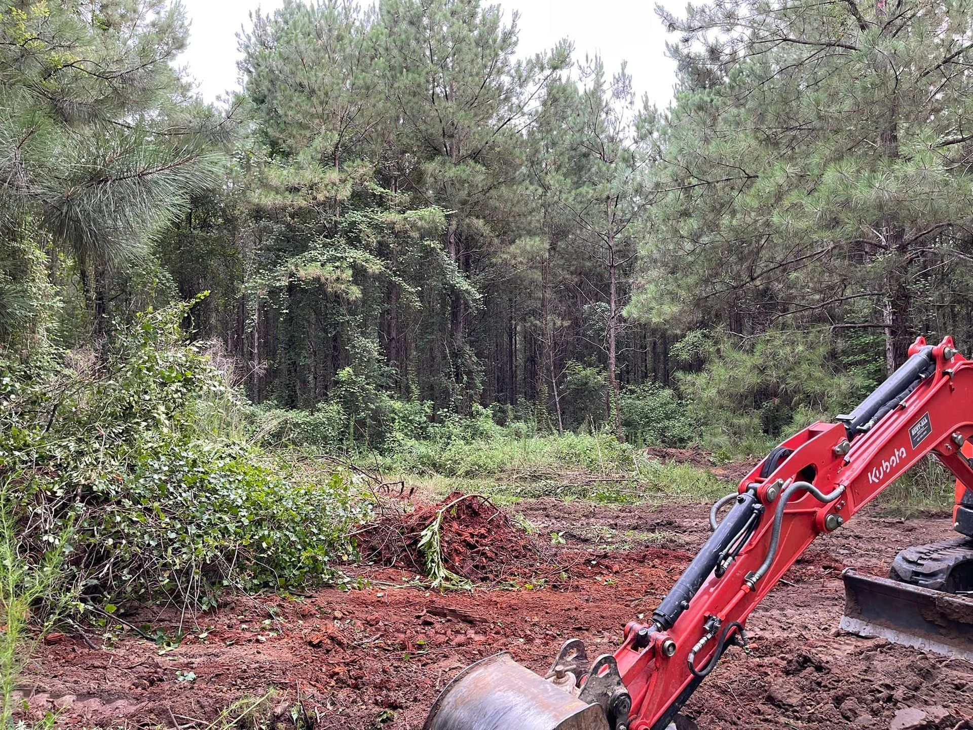 Red excavator clearing land in a forest with tall green trees.