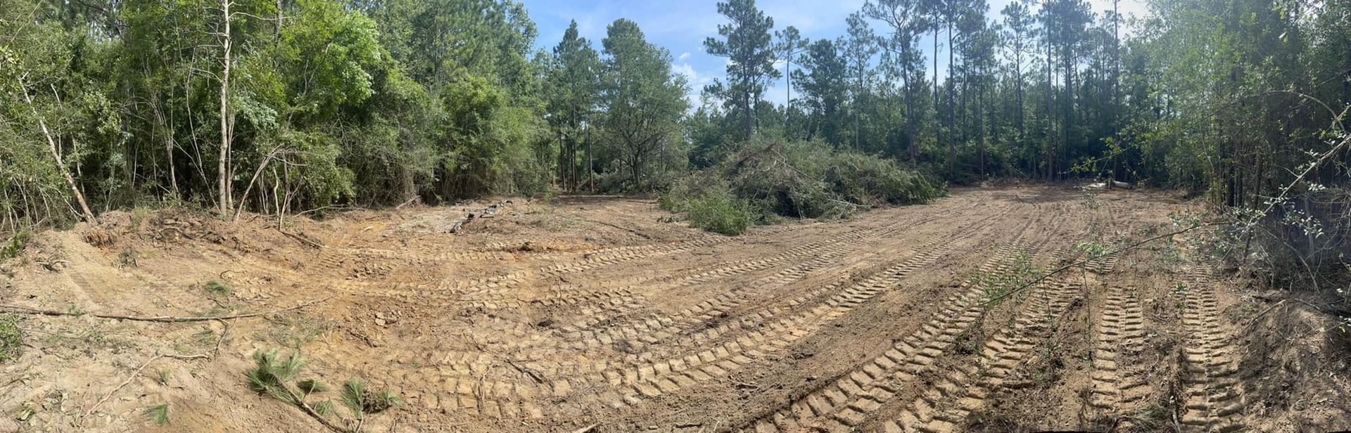 Clearing of land with tire tracks in the dirt, trees in the background.