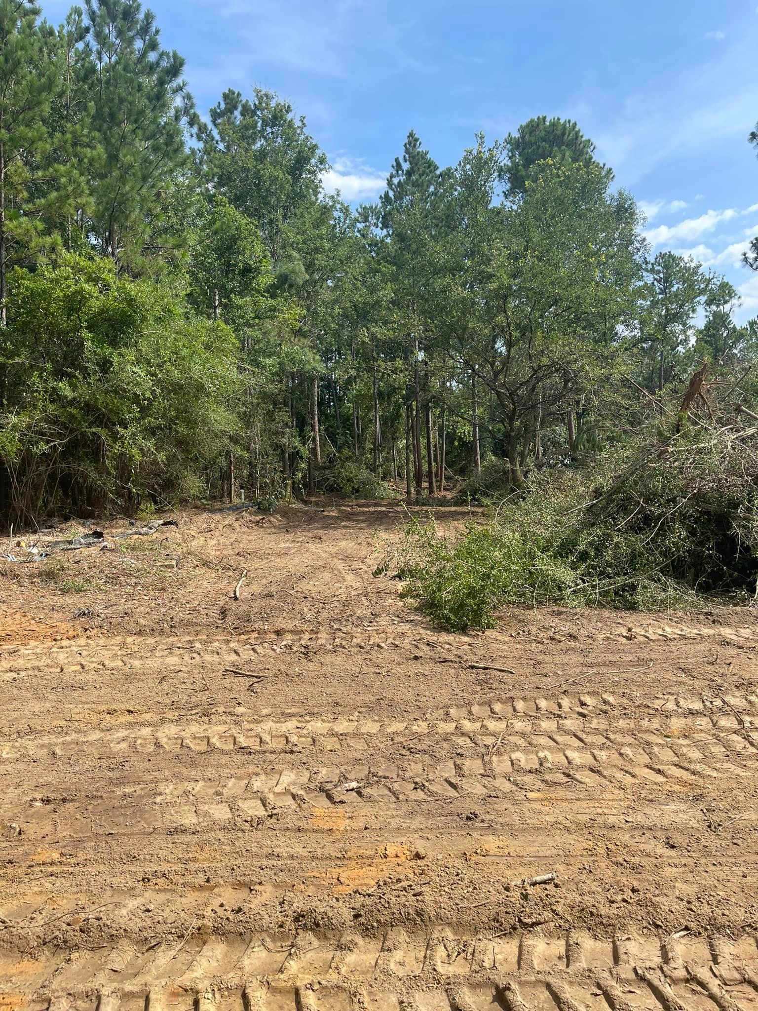 Cleared land with dirt and tire tracks, trees in the background, blue sky overhead.