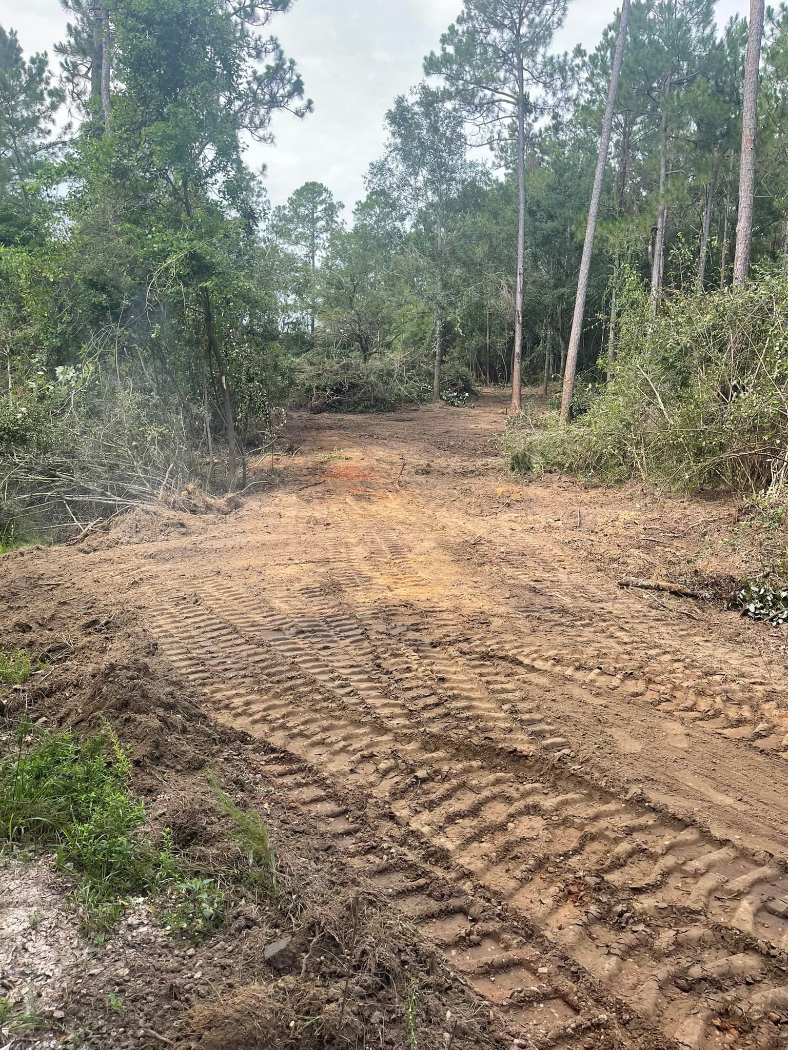 Muddy dirt path through a wooded area with tire tracks. Trees and foliage surround the path.