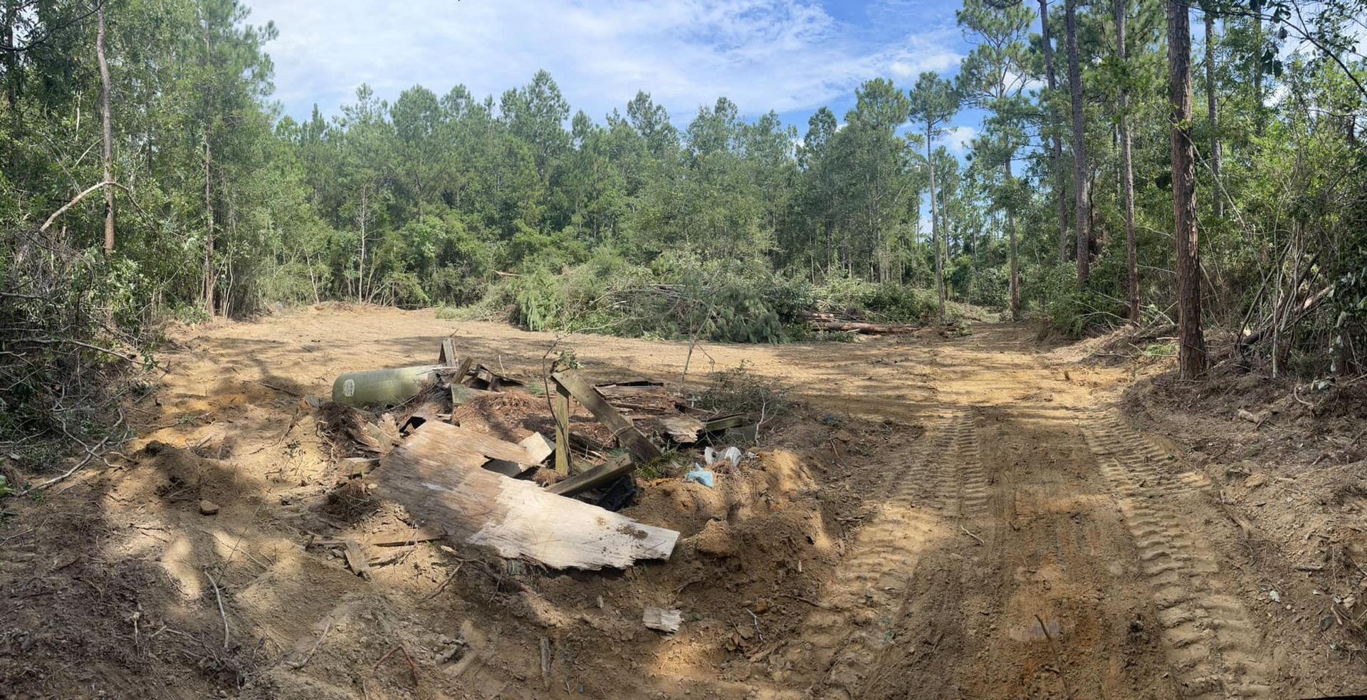 Clearing in a pine forest, with a pile of debris in the foreground. Sunlight filters through the trees.
