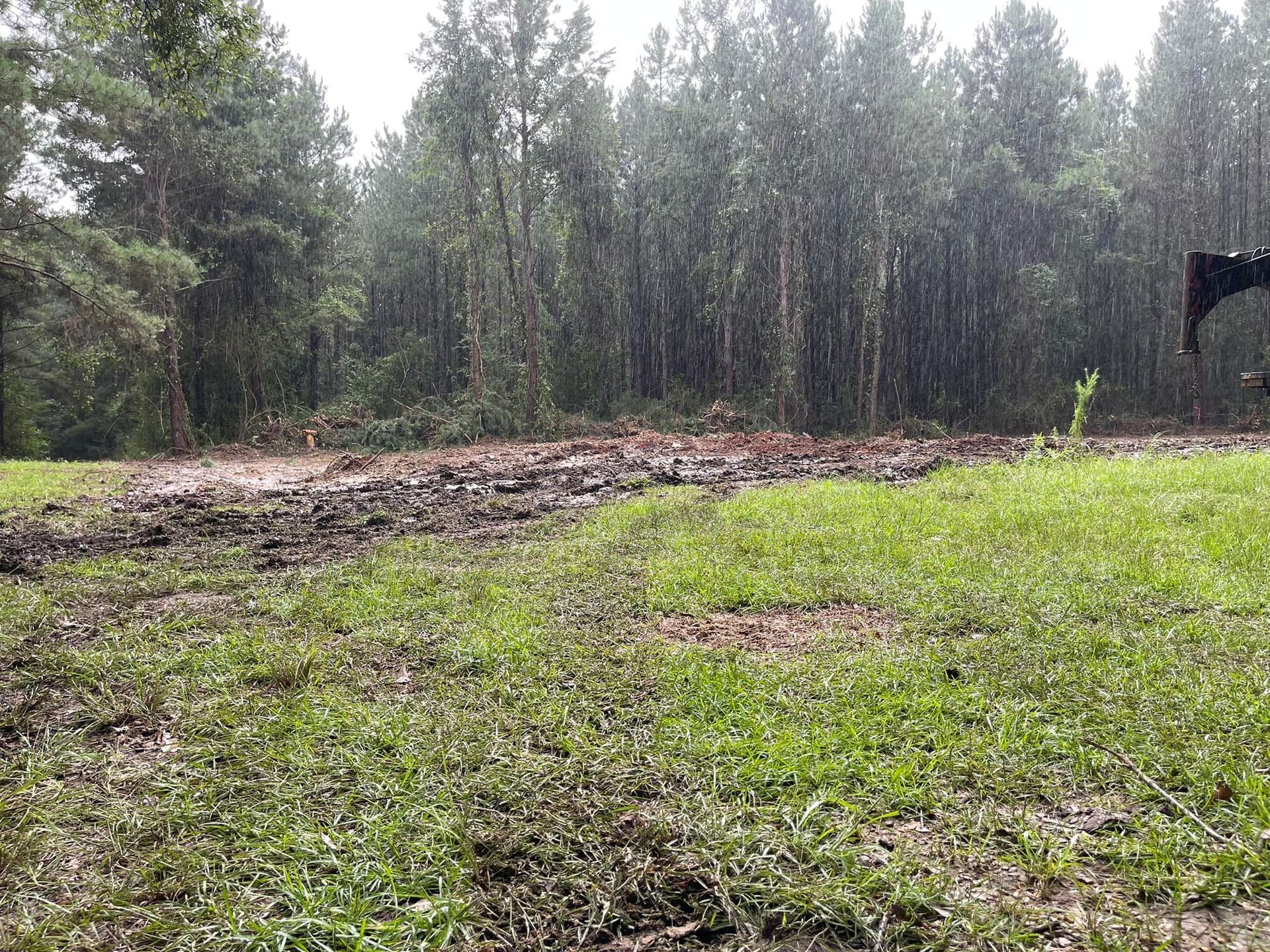 Rainy scene: muddy ground in front of a forest, heavy rain falling. Green grass in foreground.