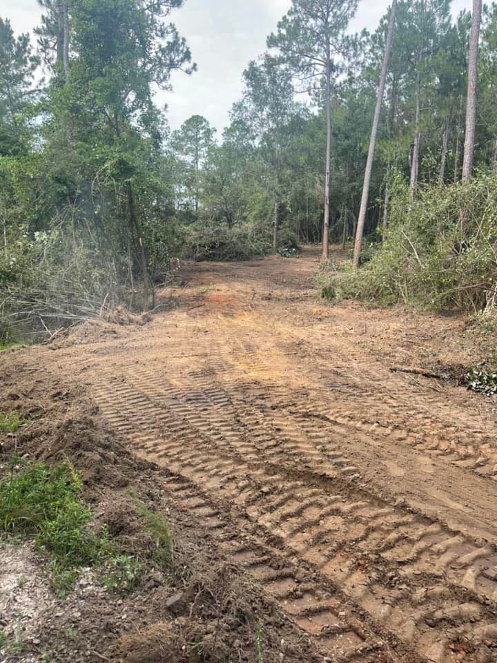 Dirt road through a forest; tracks in the mud, trees on either side.