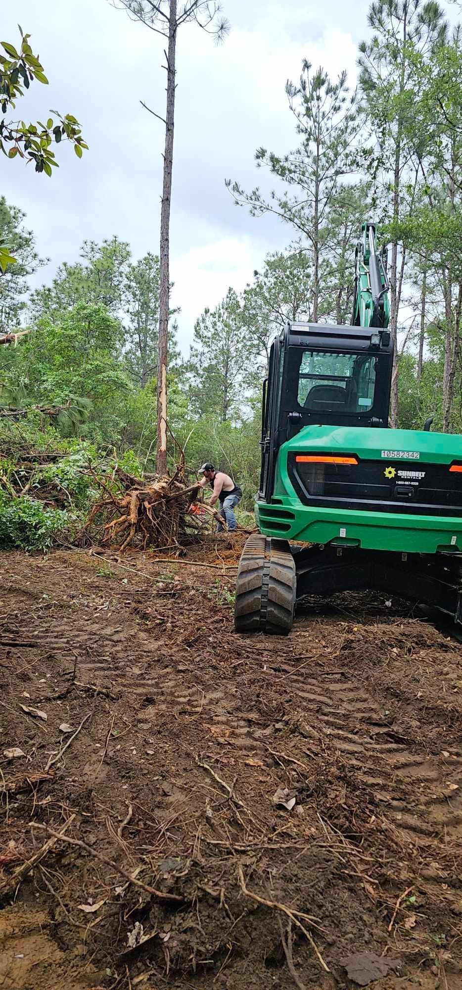 Green forestry machine clearing trees in a forest. A person is working at the base of a cut tree.
