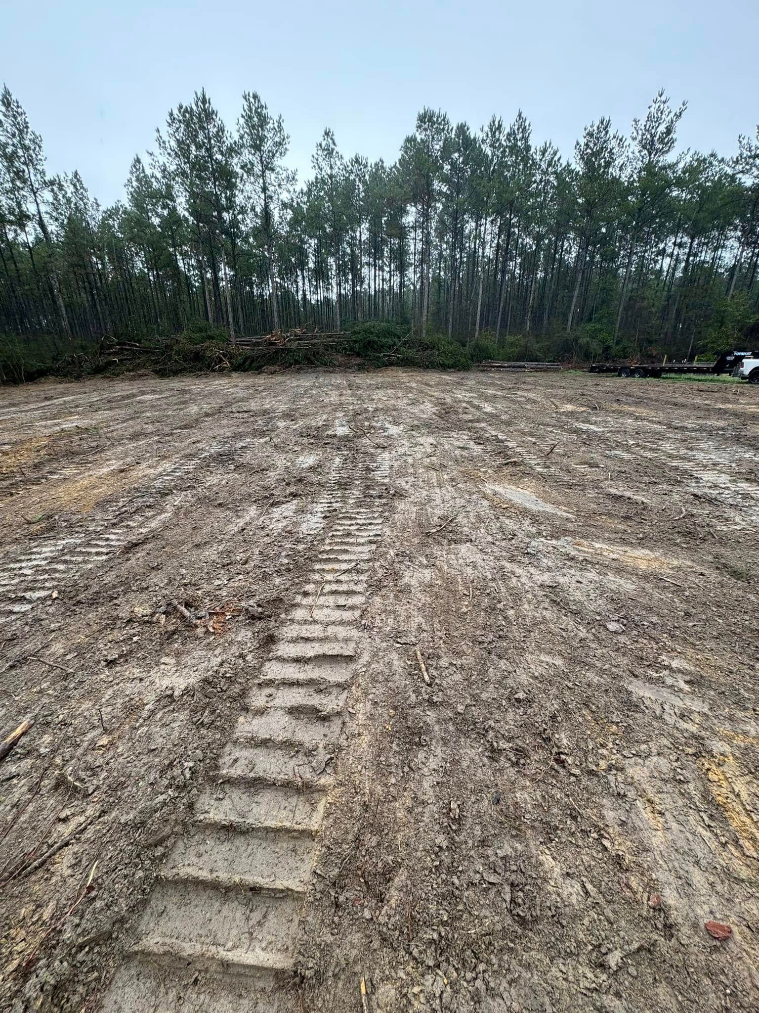 Muddy ground with tire tracks, trees in the background, overcast sky.