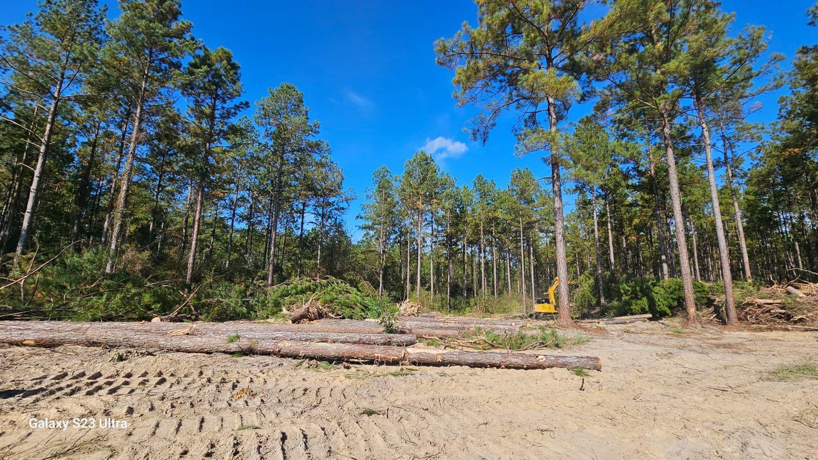 Cleared forest with felled logs and an excavator under a bright blue sky.