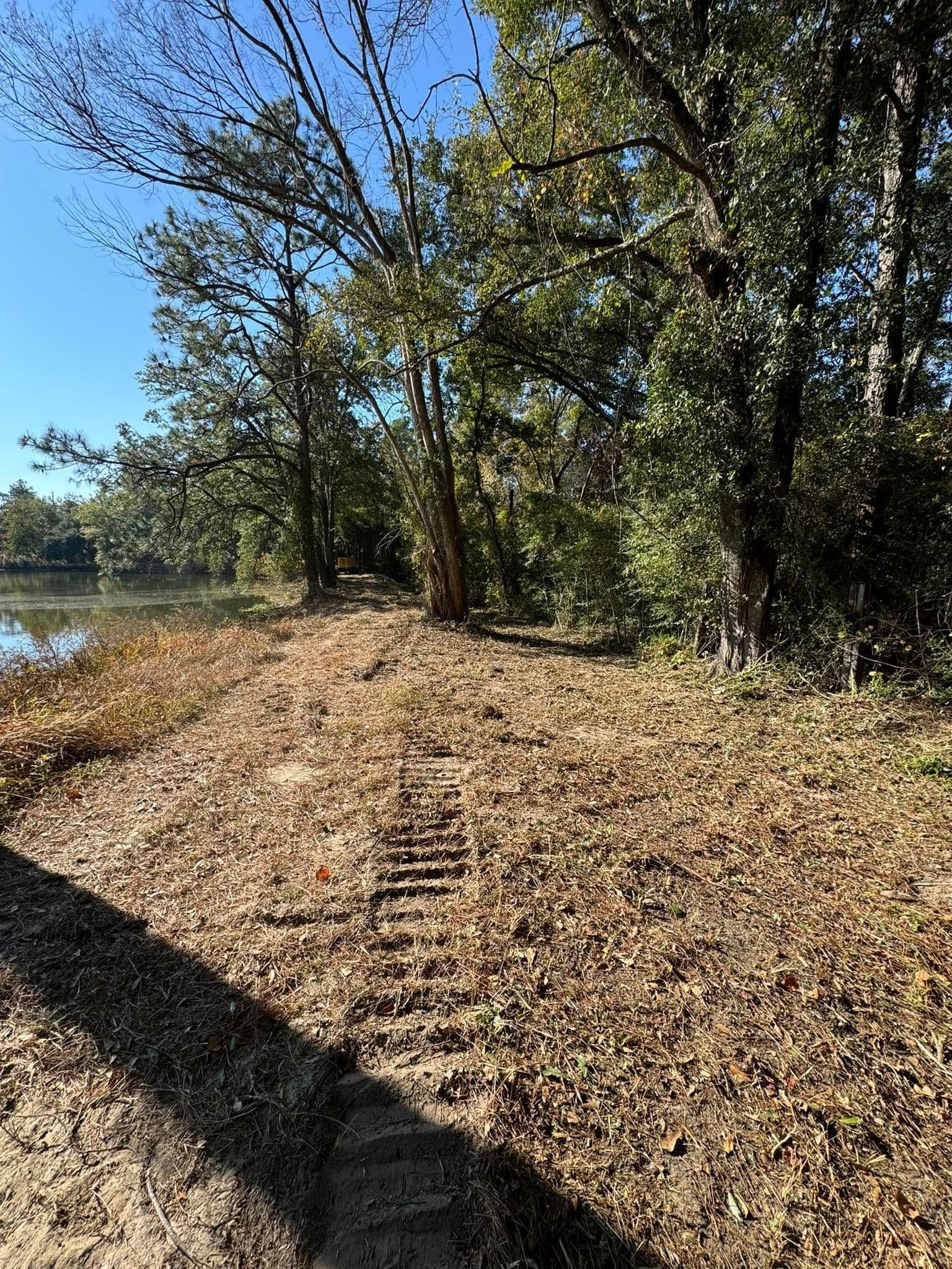 A dirt path along a riverbank, lined with fallen leaves and trees, under a blue sky.
