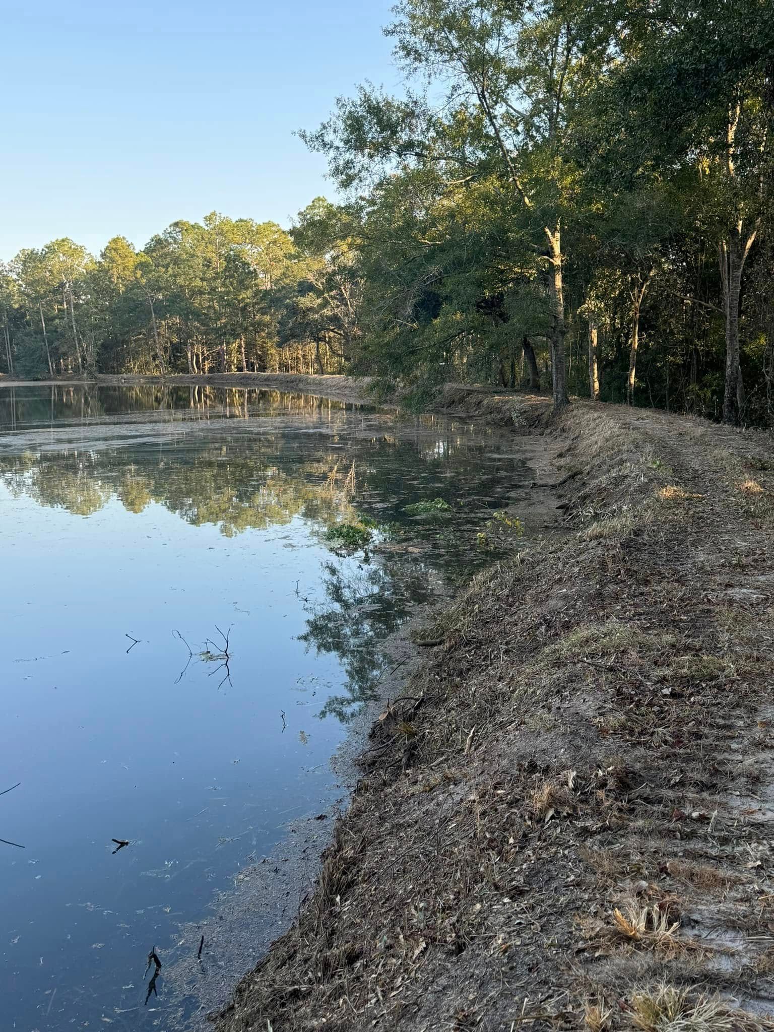 A pond reflecting trees and sky, with a dirt bank in the foreground.