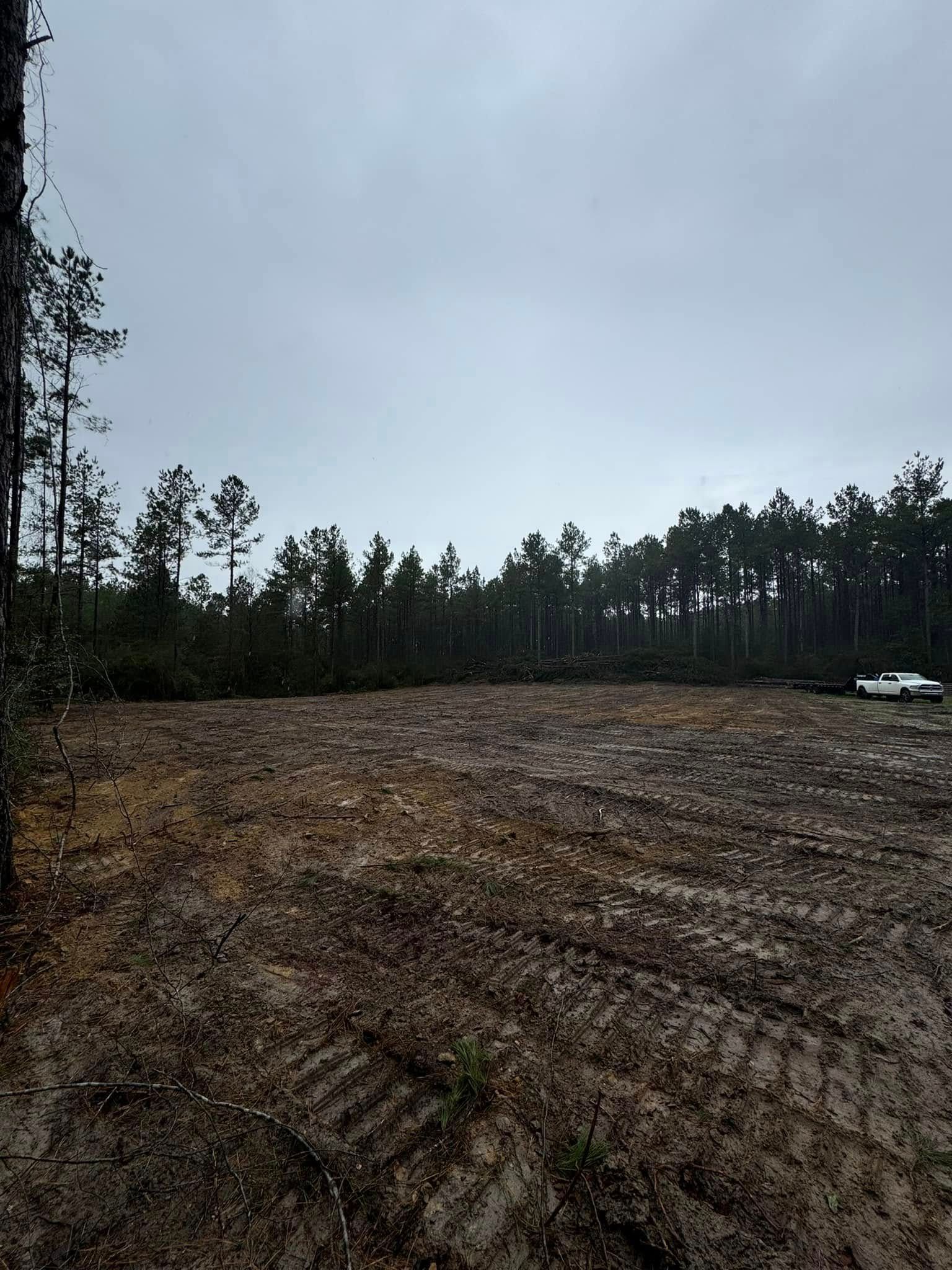 Cleared field with dirt and wood chips, bordered by evergreen trees under a cloudy sky.