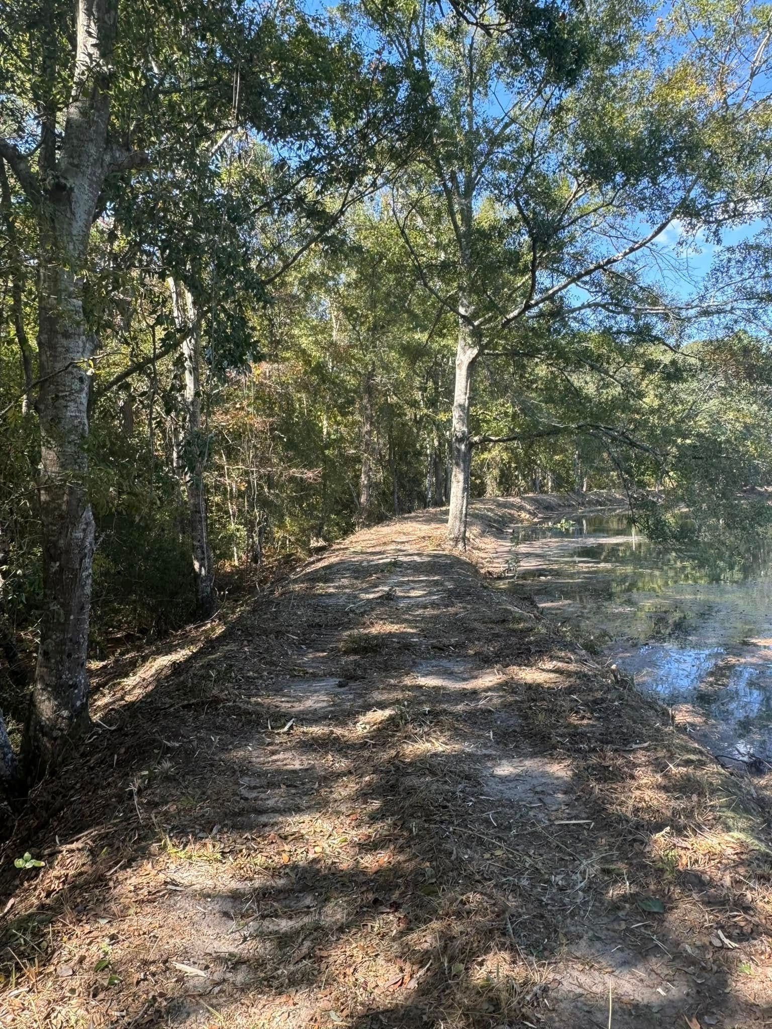 Dirt path through a wooded area on a sunny day.