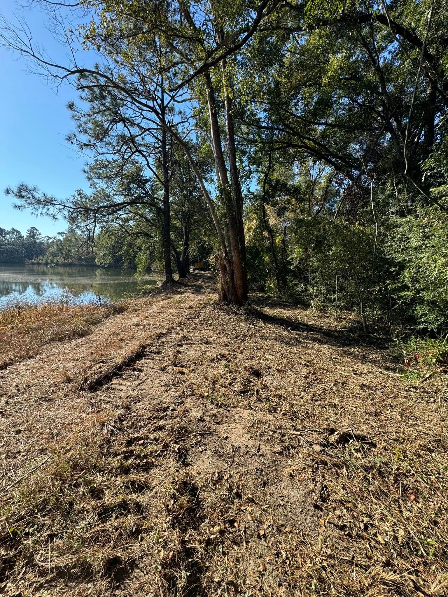 A forest path covered in leaves leads to a calm body of water; trees surround the edge on a sunny day.