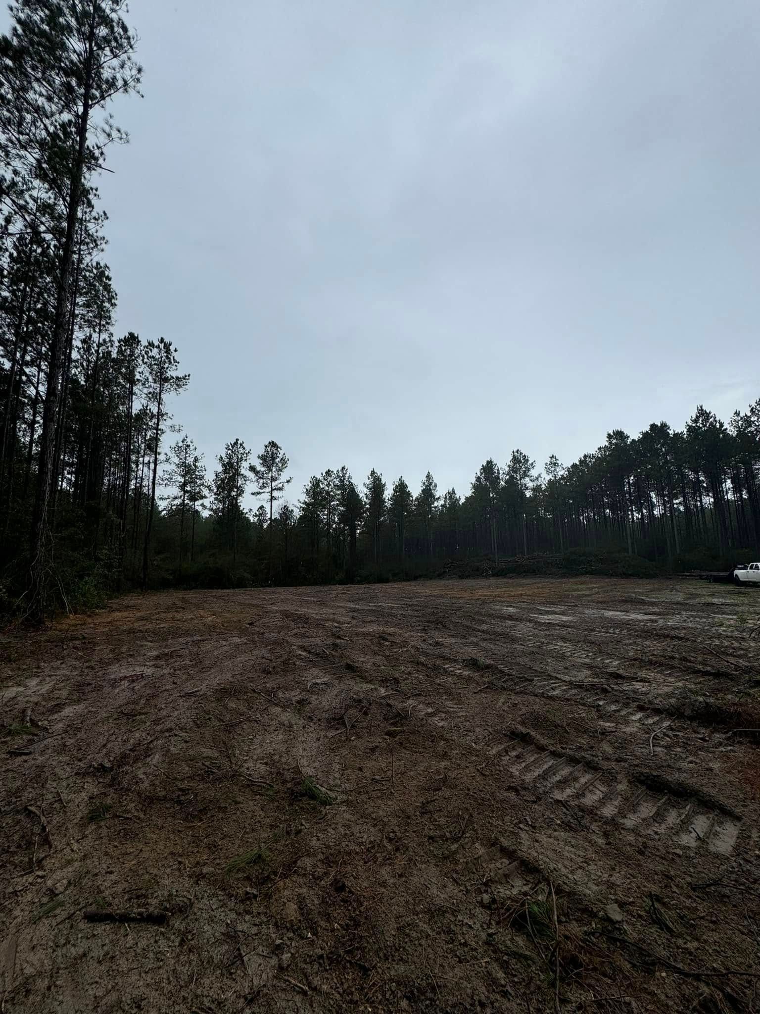 Cleared land with tire tracks in the foreground, bordered by a dark treeline, under a cloudy sky.