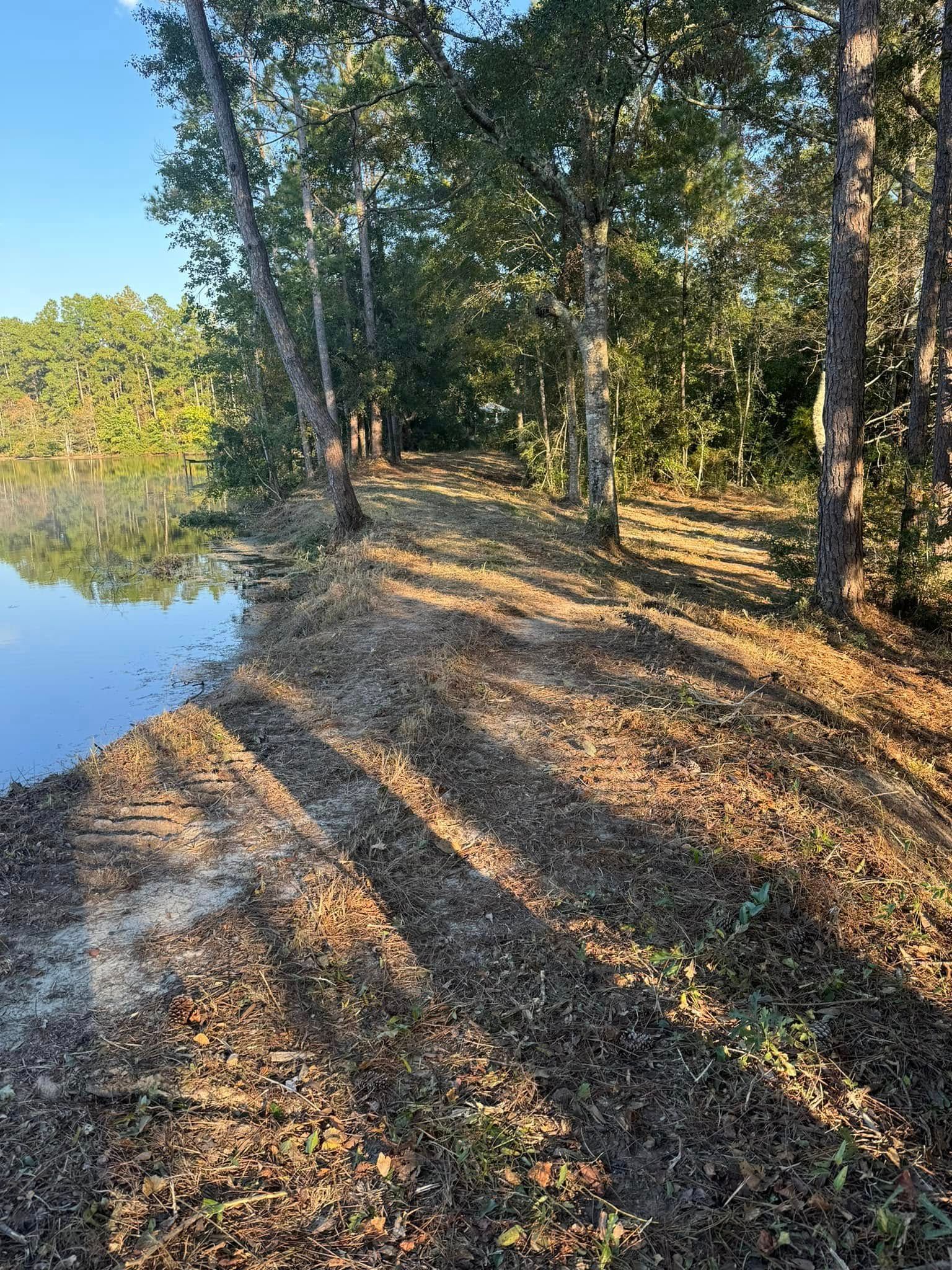 Lakeside path with trees casting long shadows; sunlight.