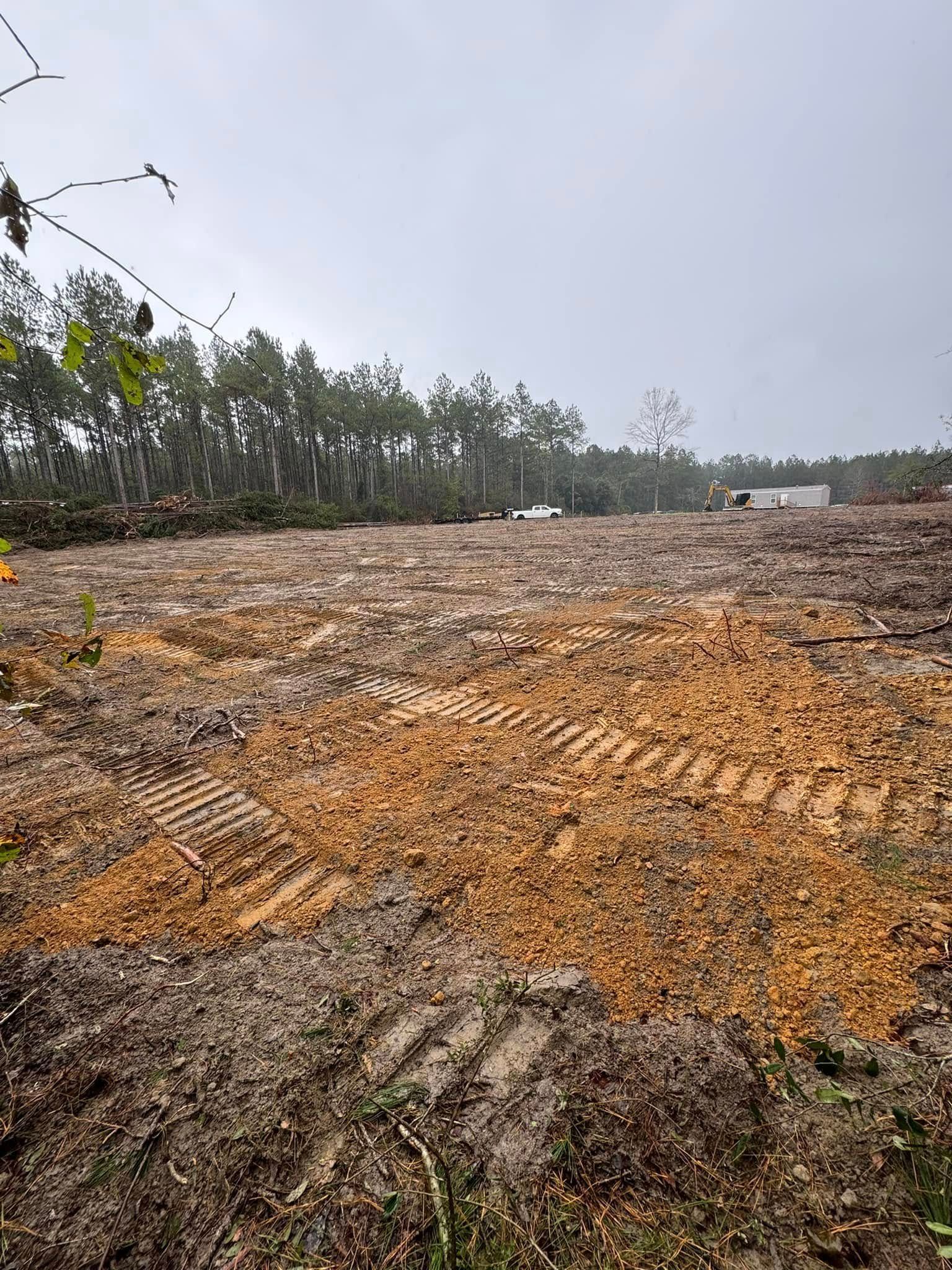 Cleared land with tire tracks, trees in the background, and overcast sky.