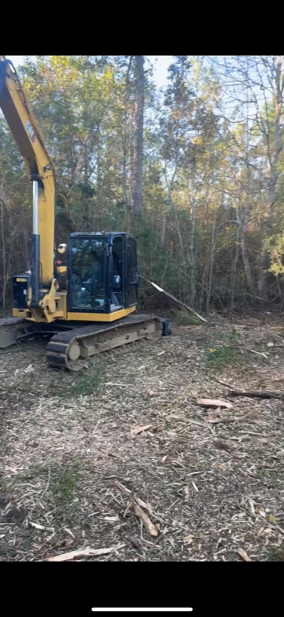 Yellow excavator clearing trees in a wooded area; wood chips cover the ground.