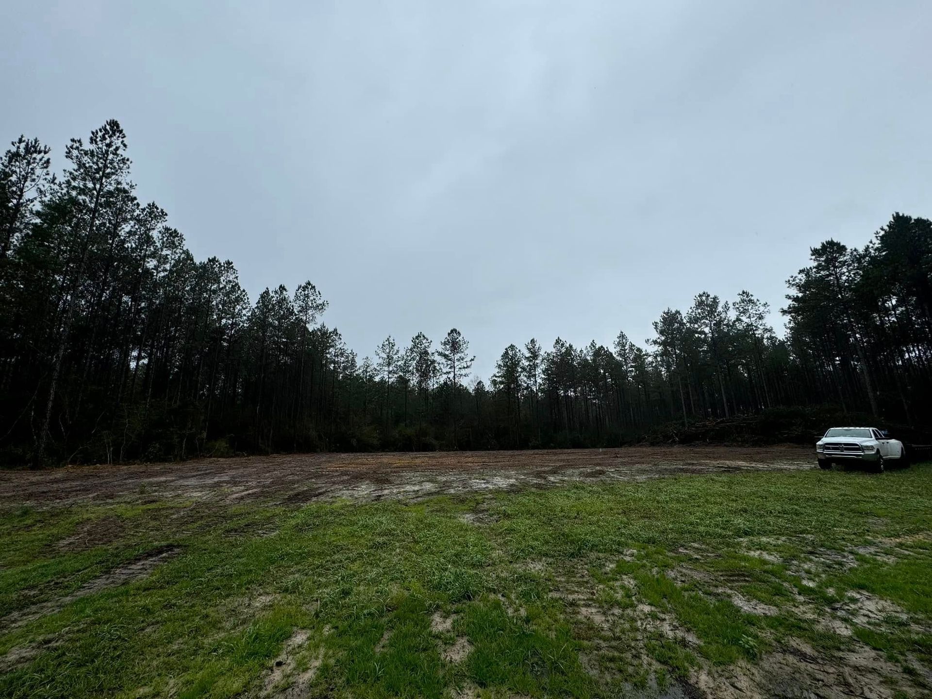 A cleared field with low green growth, a treeline, and a truck under a cloudy sky.