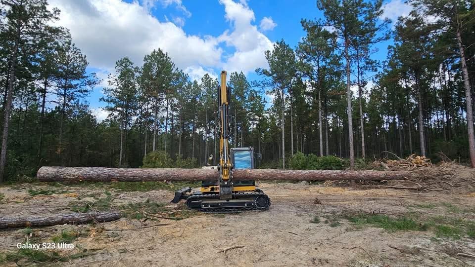 Logging machine holding a large log in a forest clearing on a partly cloudy day.
