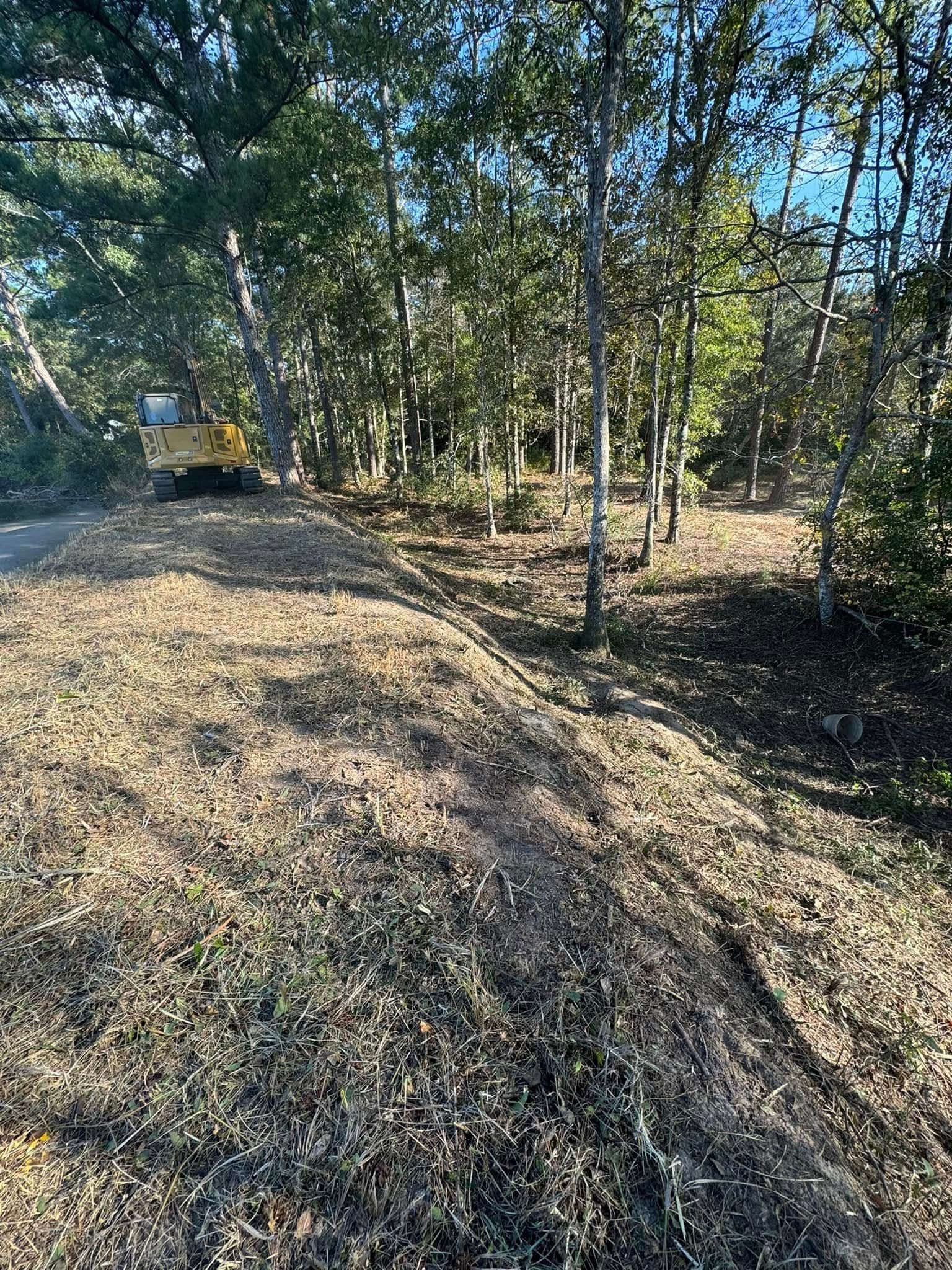 A wooded area being cleared by a yellow excavator. A large pile of debris sits in the foreground.