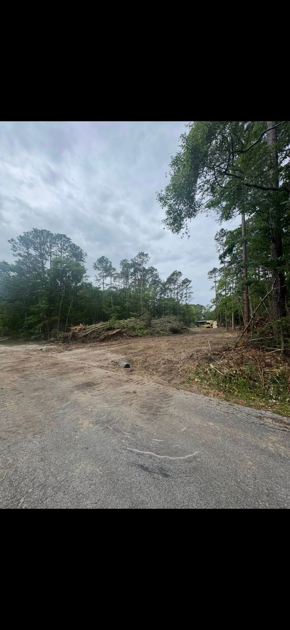 Gravel road leading into a clearing surrounded by trees under a cloudy sky.